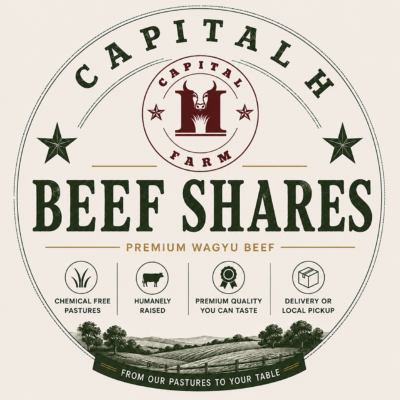 Shares
